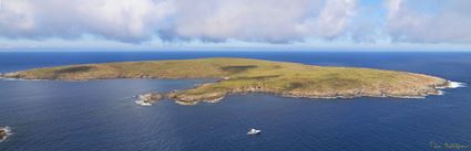 North Neptune Islands - SA (PBH3 00 25744).jpg